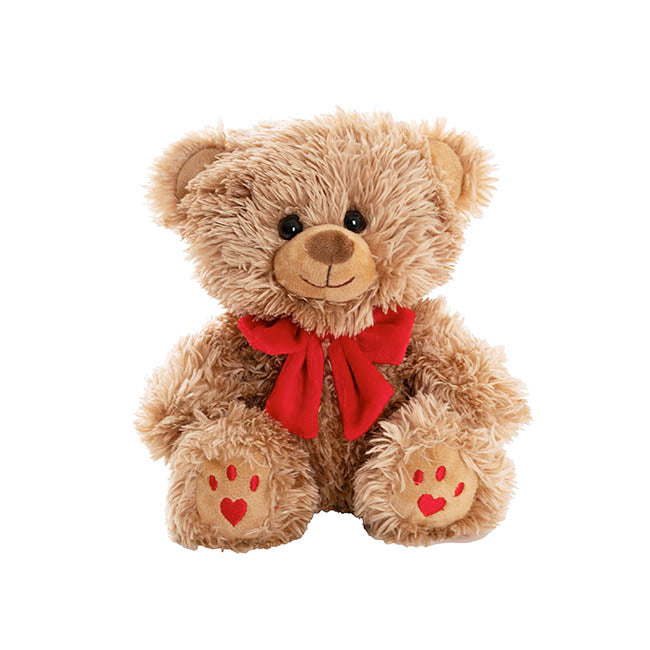 Valentines Day Teddies