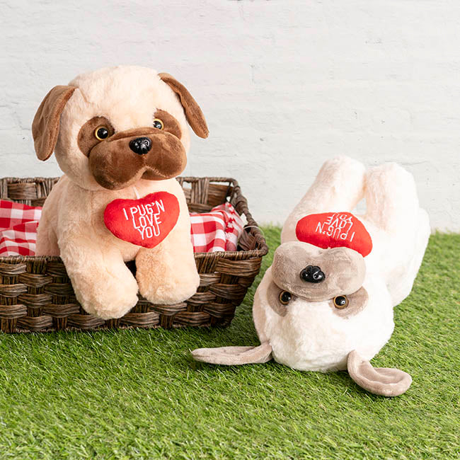 Valentines Day Teddies
