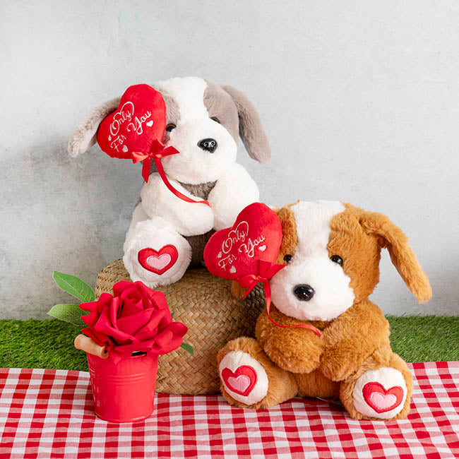 Valentines Day Teddies
